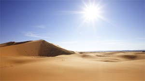 sahara desert summer