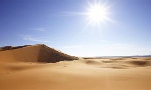 sahara desert summer